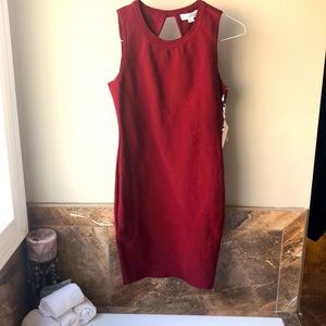 Stella Luce bandage dress NWT. Size small.